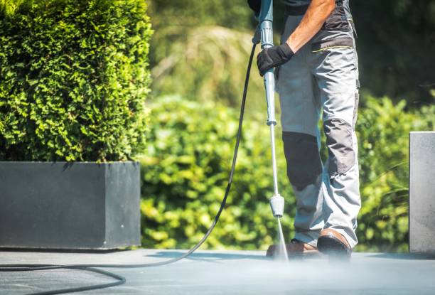 Best Gutter Cleaning  in Neptune Beach, FL
