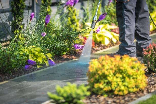 Best Patio and Deck Pressure Washing  in Neptune Beach, FL