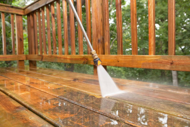 Best Building Exterior Washing  in Neptune Beach, FL